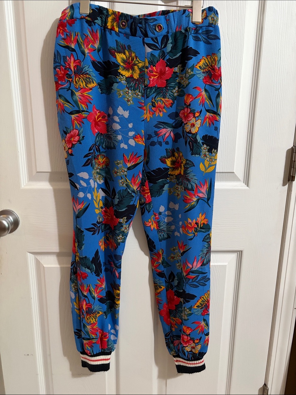 Easel Blue Floral Jogger Pants - Women